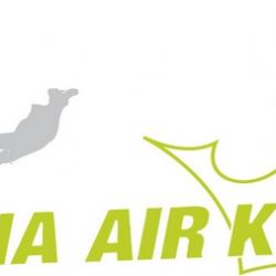 Vienna Air King 2010