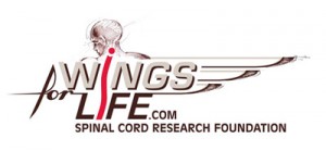 wingsforlife_logo_eng_1